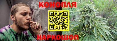 гашик Лесосибирск