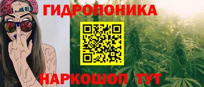 гашик Лесосибирск