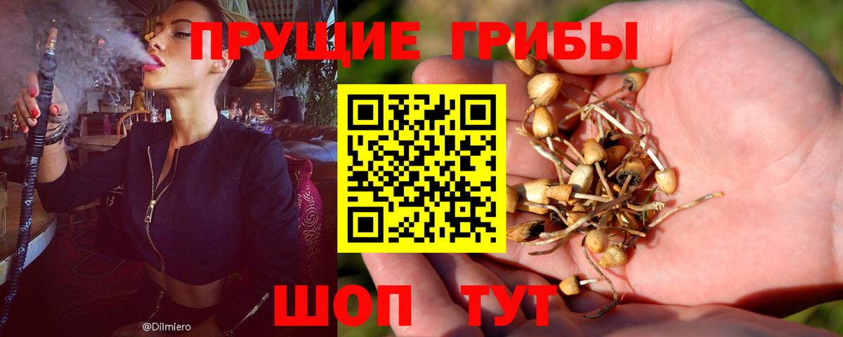 Галлюциногенные грибы MAGIC MUSHROOMS Вязьма